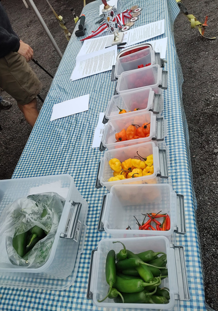 Gogebic County Fair_Hot Chilli Pepper Contest_3 Gogebic county fair hot chilli pepper contest 3