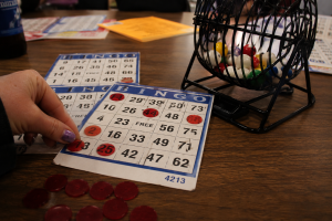 Gogebic County Fair Bingo