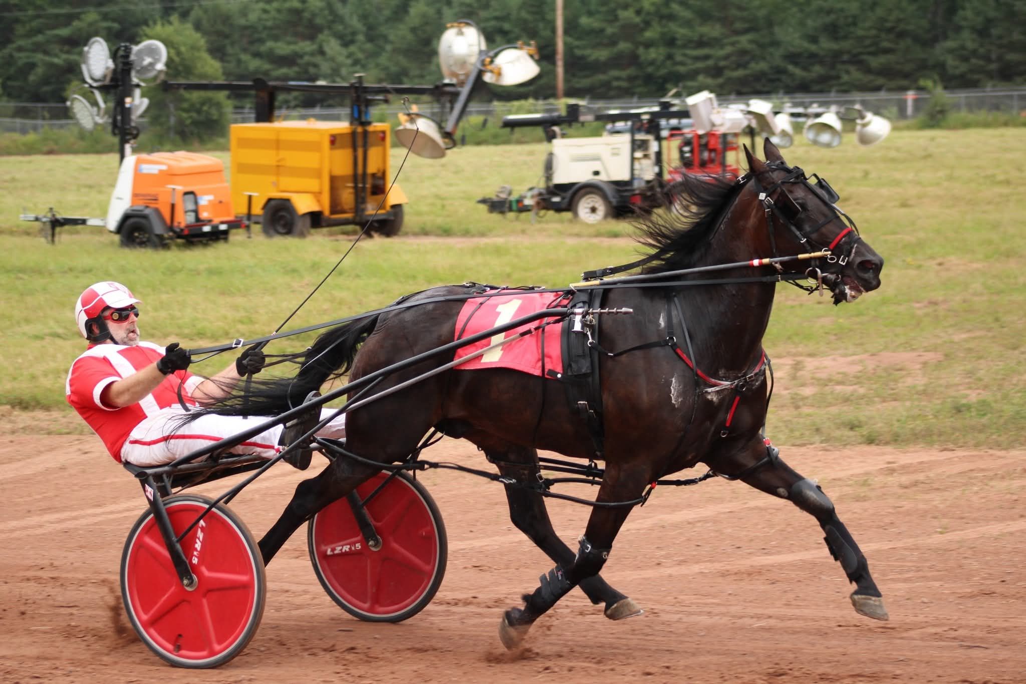 Gogebic County Fair Horse Races Banner